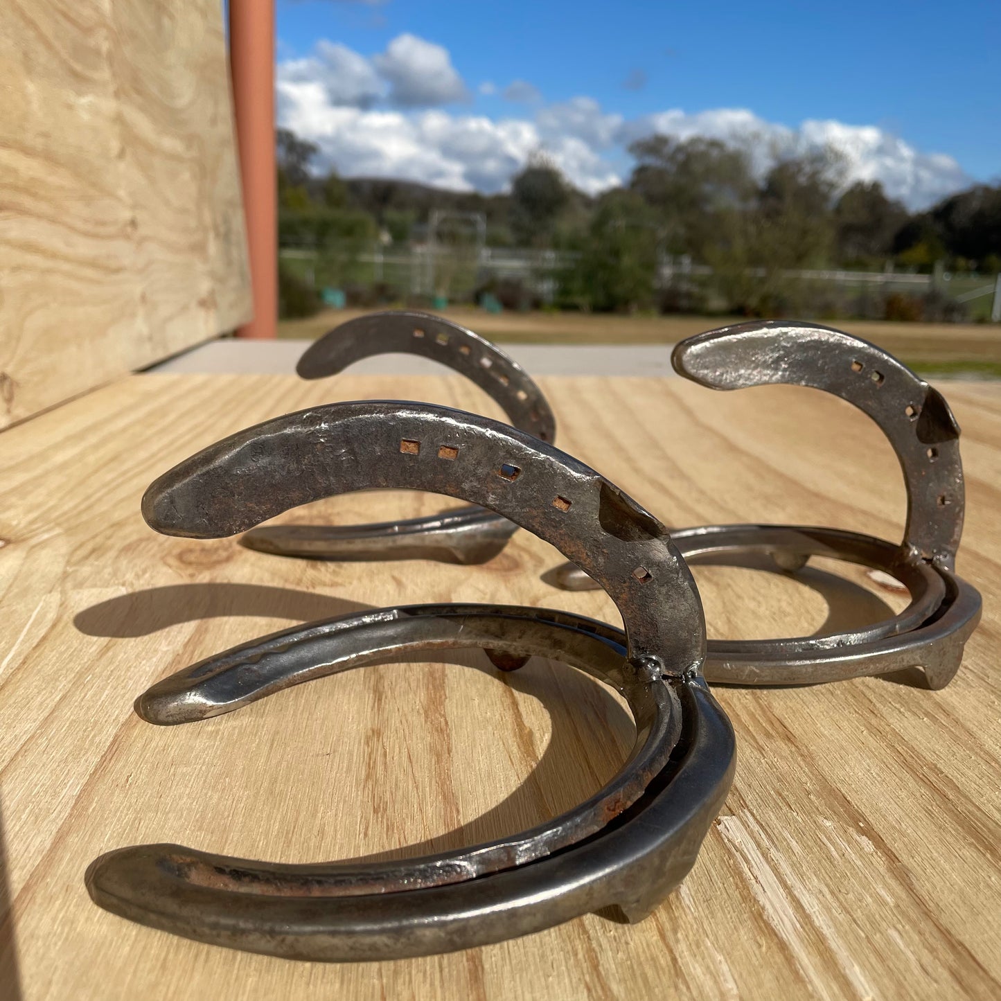 Horseshoe Hook