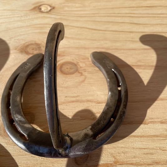 Horseshoe Hook