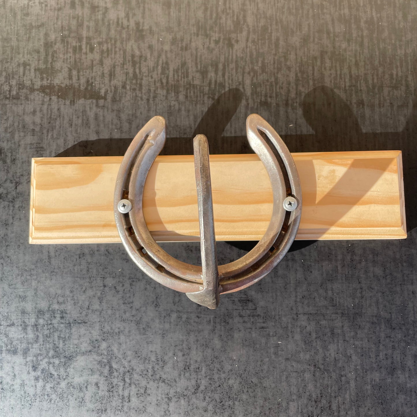 Horseshoe Hook