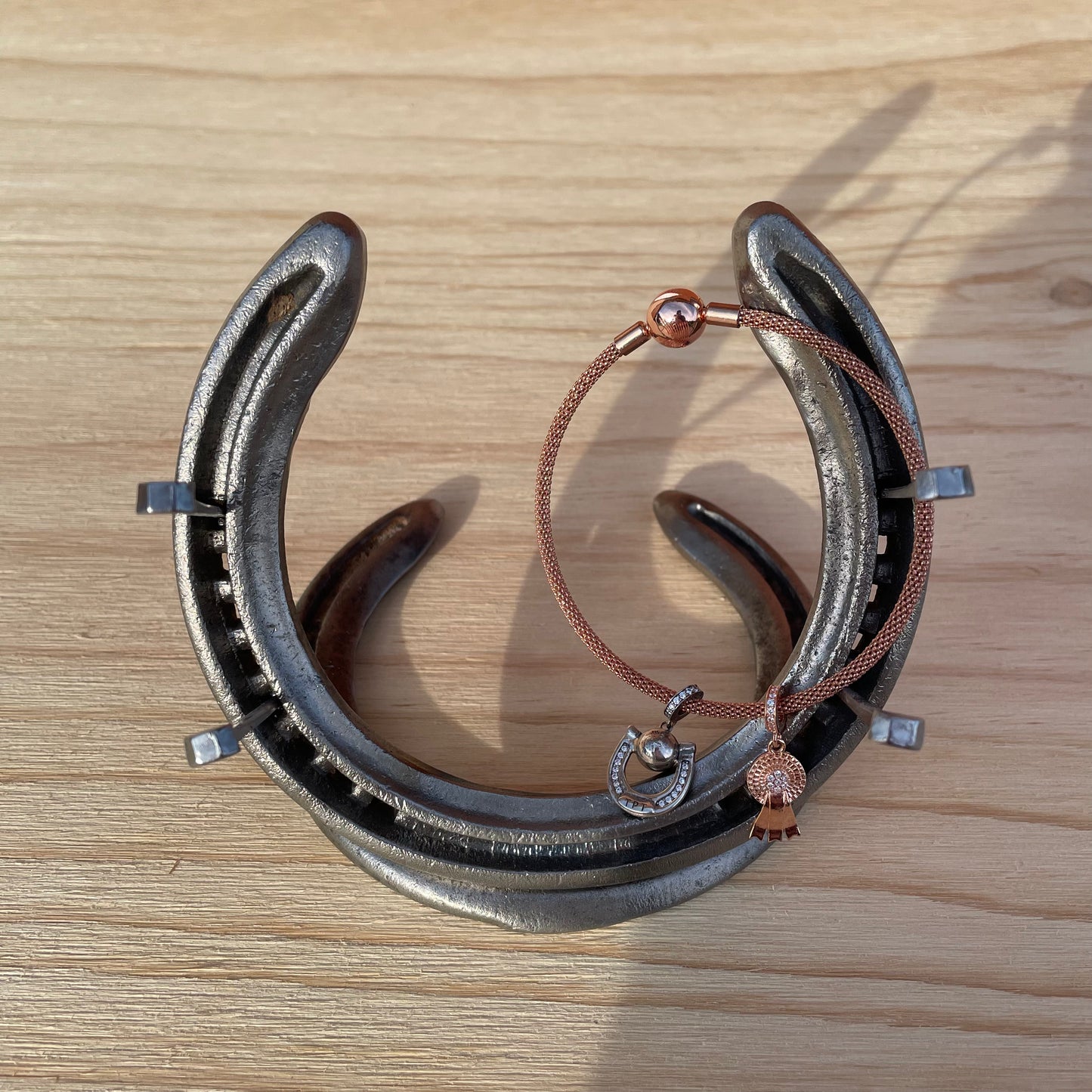 Horse Shoe Jewellery Stand