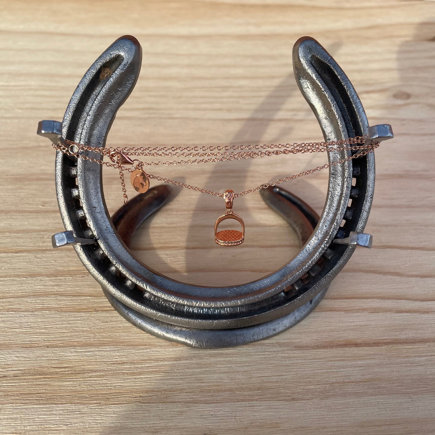 Horse Shoe Jewellery Stand